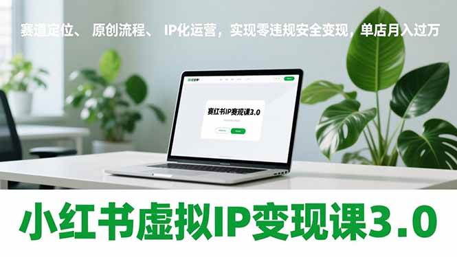 (17029期)小红书虚拟IP变现课3.0,赛道定位、原创流程、IP化运营,实现零违规安全变现,单店月入过万-K6源码网