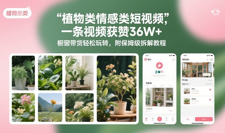 植物类情感类短视频,一条视频获赞36W+,橱窗带货轻松玩转,附保姆级拆解教程-K6源码网