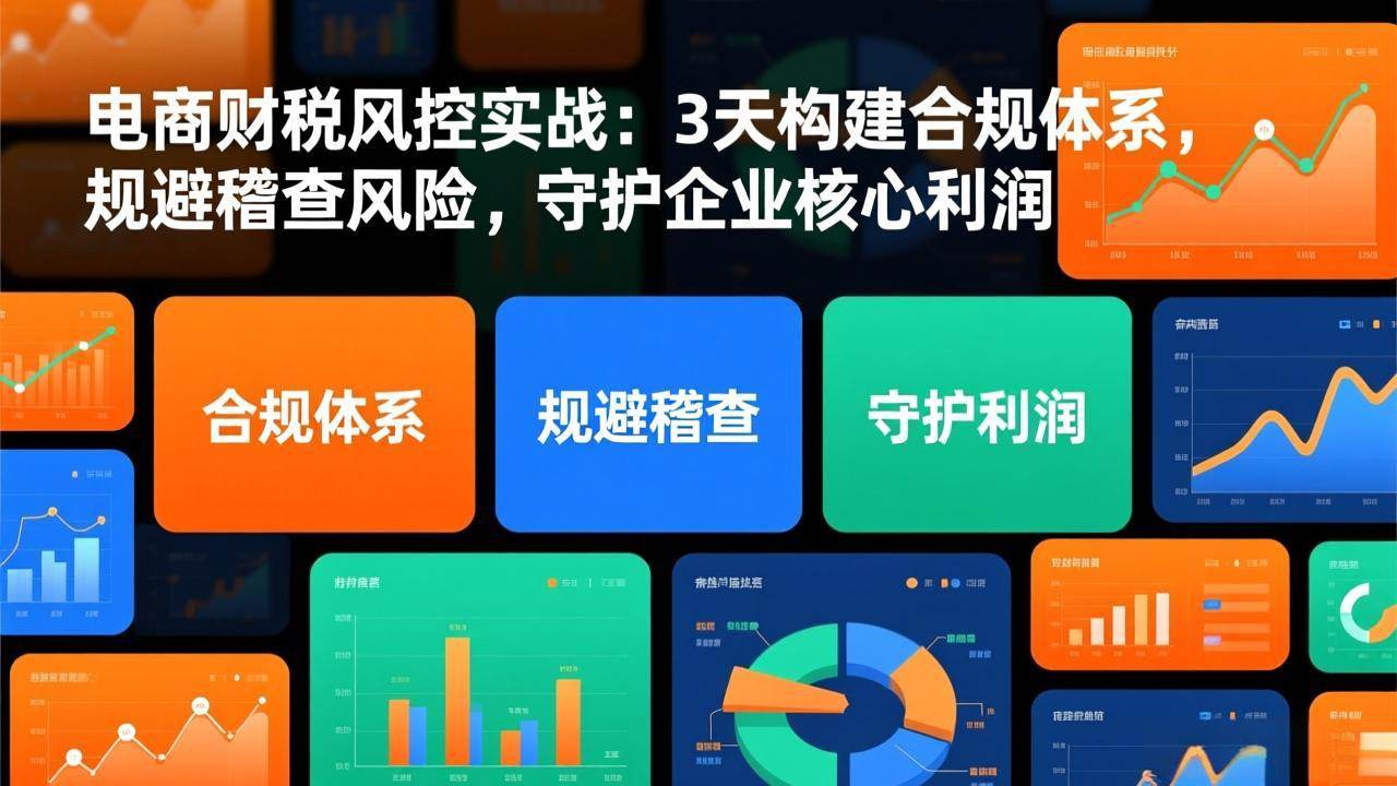 (17197期)电商财税风控实战:3天构建合规体系,规避稽查风险,守护企业核心利润-K6源码网