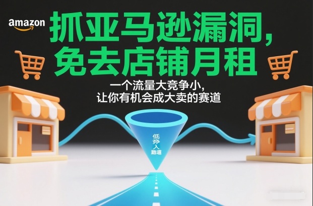 抓亚马逊漏洞,免去店铺月租,一个流量大竞争小,让你有机会成大卖的赛道-K6源码网